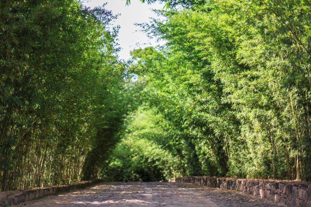 Bosque Do Lapao Inn